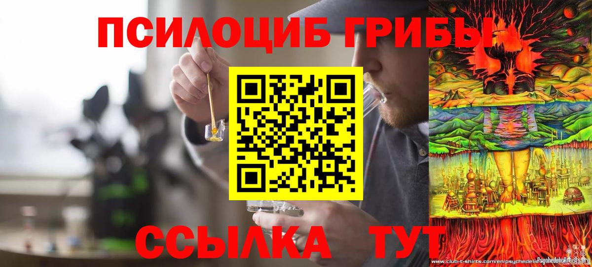 купить наркотик  Вход с VPN  Галлюциногенные грибы Psilocybe  Калач-на-Дону  Галлюциногенные грибы Magic Shrooms 